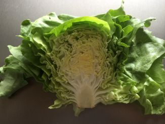 Kopfsalat