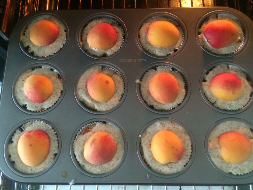 Aprikosen Muffins