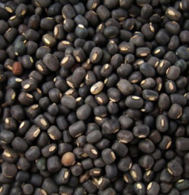 Dal Makhani Linsen - indische Linsen