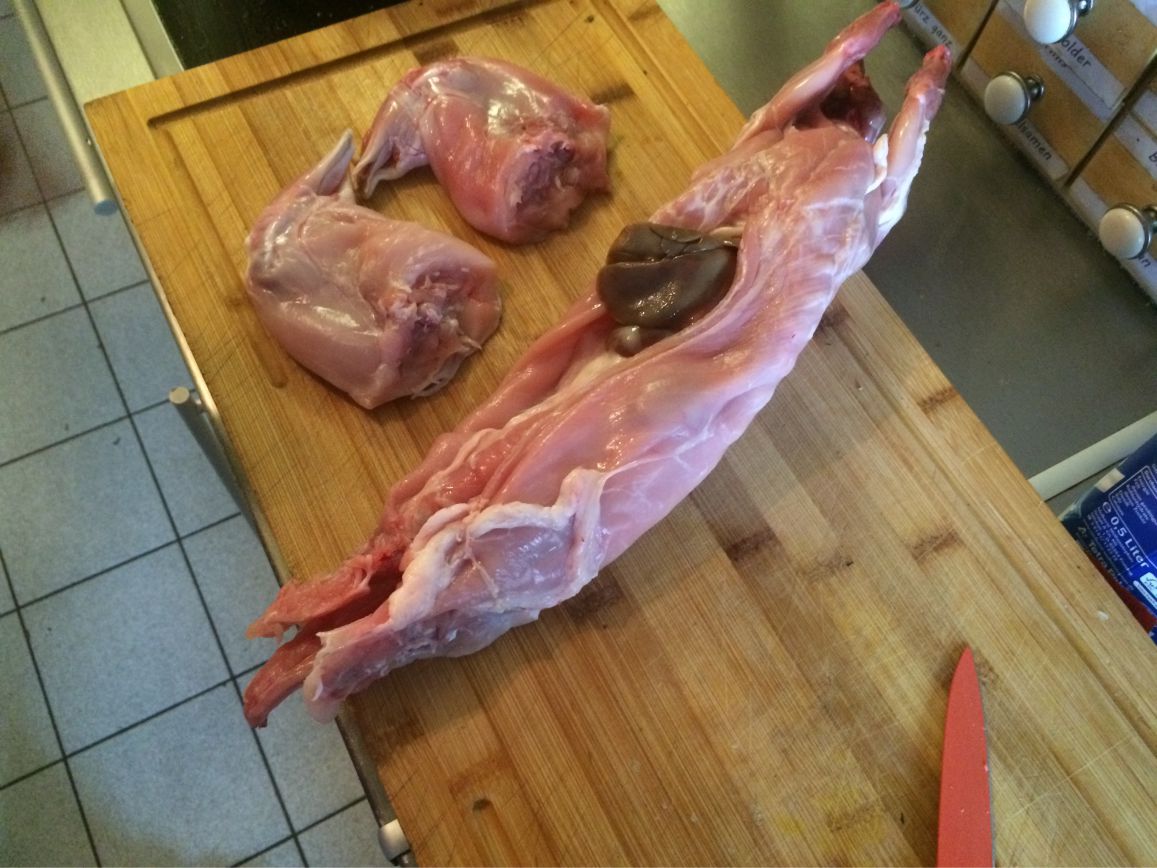 Kaninchen teilen
