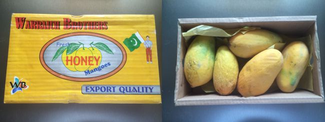Mango